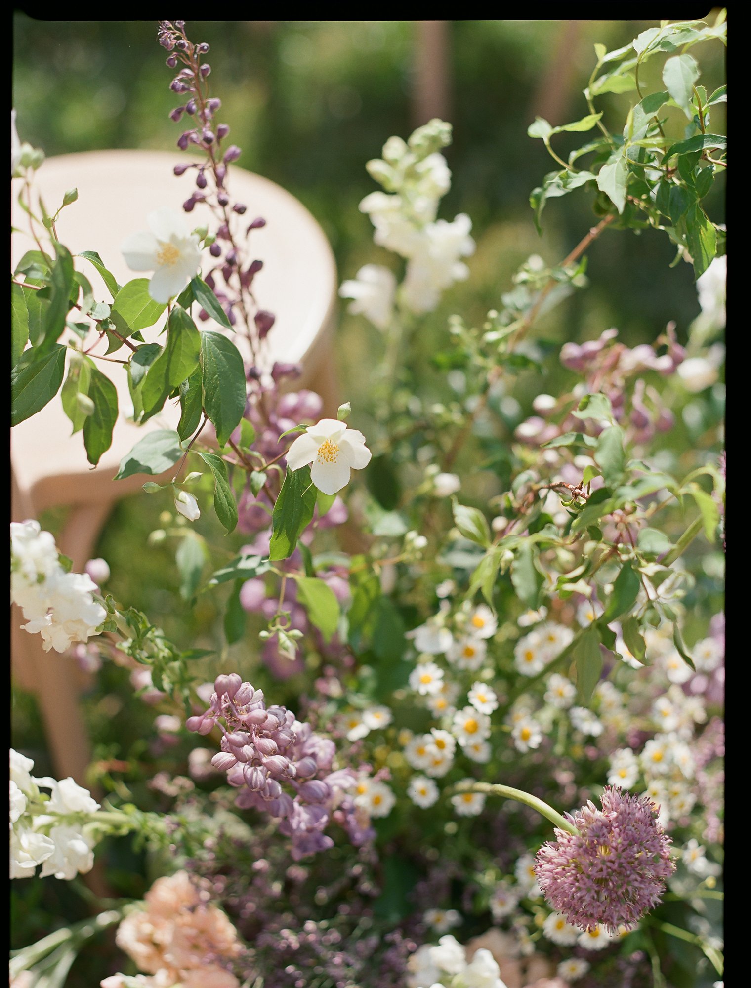 Lauren & Daniel — Biltmore wedding by Mia Melin